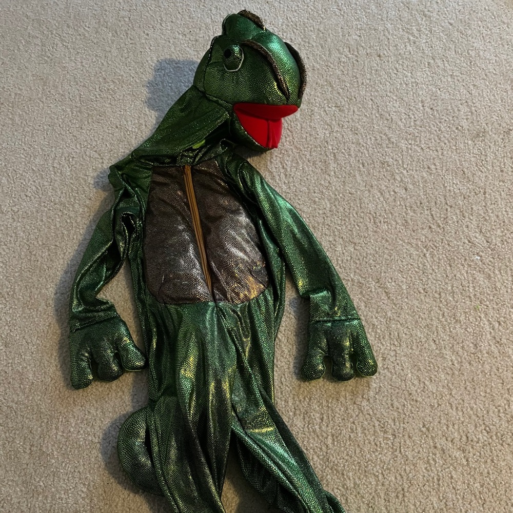 Chameleon Costume